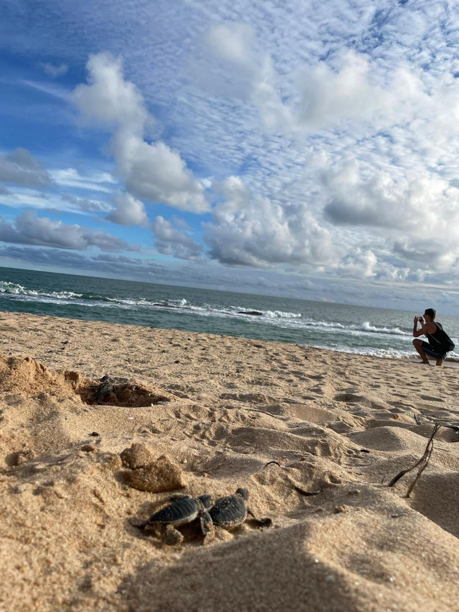 Green Turtle Tangalle Exterior foto