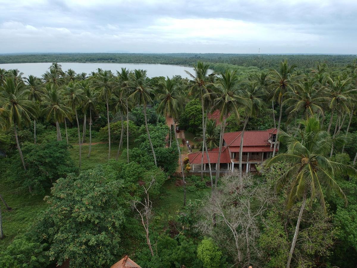 Green Turtle Tangalle Exterior foto